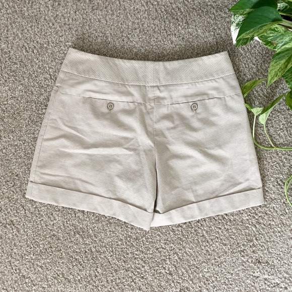 The Limited Cassidy Fit Shorts - Picture 6 of 6